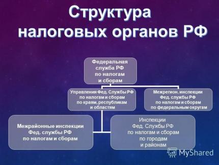 Tipuri de impozite și taxe Prezentarea impozitelor în Federația Rusă