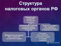 أنواع الضرائب والرسوم الضرائب في عرض الاتحاد الروسي