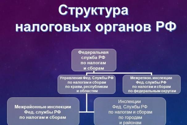 Tipi di tasse e tasse Le tasse nella presentazione della Federazione Russa